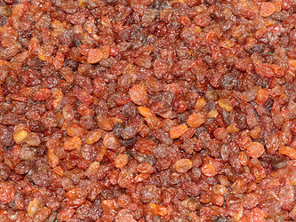 Similar image 22634919