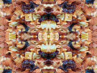Similar image 22644648