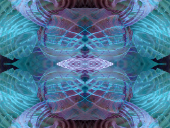 Similar image 22634955