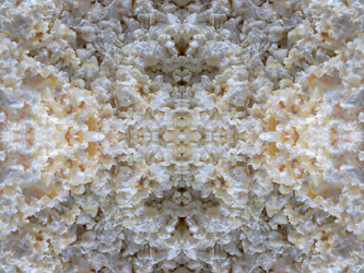 Similar image 22635012