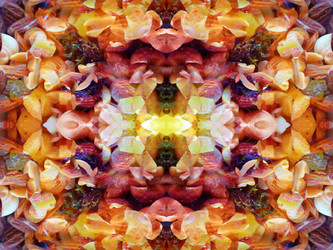 Similar image 22635039