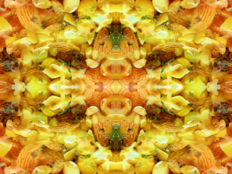 Similar image 22635053