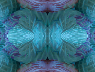 Similar image 22634679