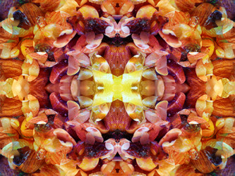 Similar image 22631954