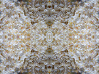 Similar image 22631960