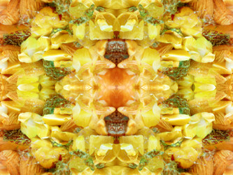 Similar image 22634756