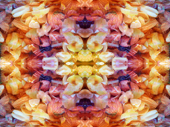 Similar image 22634757