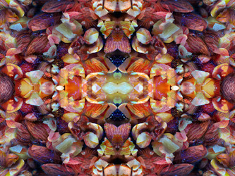 Similar image 22634804