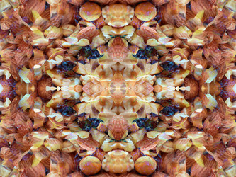 Similar image 22644543