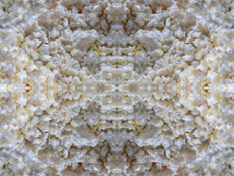 Similar image 22634828