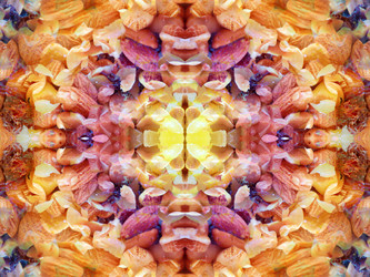 Similar image 22634844