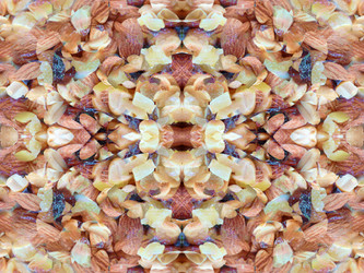 Similar image 22634866