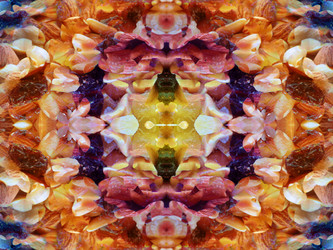 Similar image 22634877