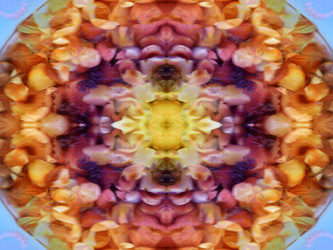 Similar image 22644604