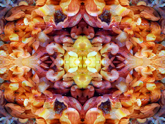 Similar image 22634898