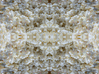 Similar image 22634927