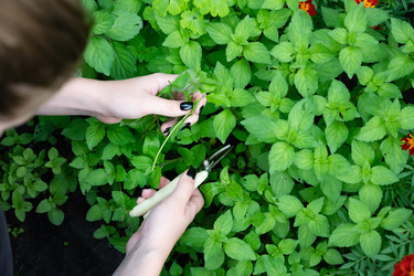 Similar image 22632496