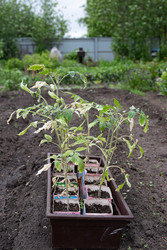 Similar image 22632498