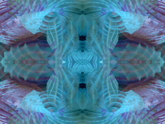 Similar image 22634957