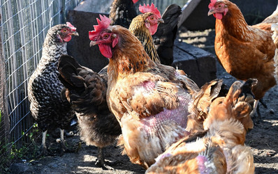 Similar image 22632501