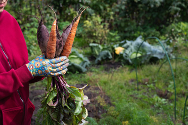 Similar image 22632503