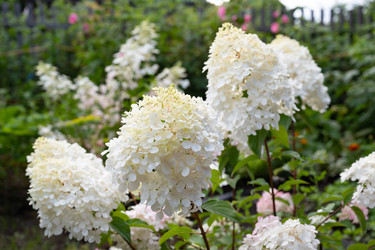 Similar image 22632504