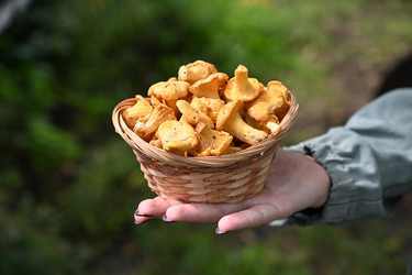 Similar image 22632512