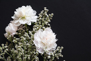 Similar image 22632514