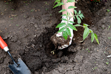 Similar image 22632518