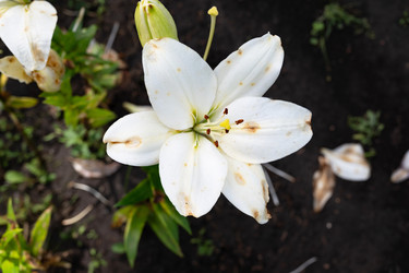 Similar image 22632521