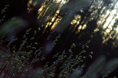 Similar image 22638232