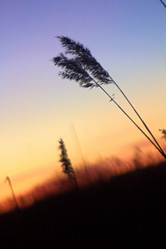 Similar image 22638233