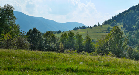 Similar image 22631883