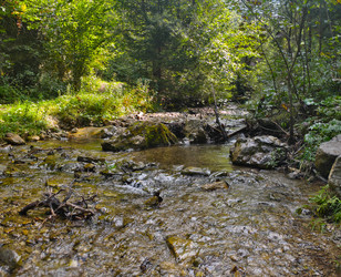 Similar image 22631886