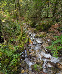 Similar image 22631889