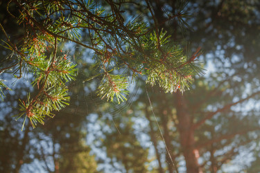 Similar image 22632144