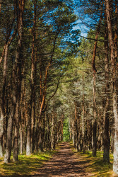 Similar image 22632160