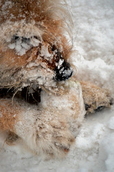 Similar image 22632002