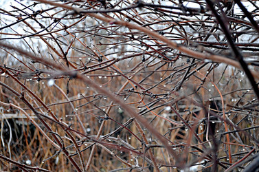 Similar image 22632028