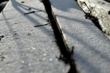 Similar image 22632037