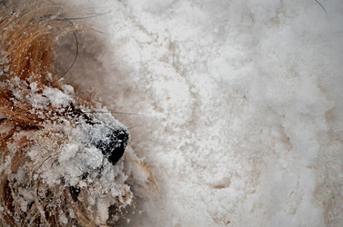 Similar image 22632049