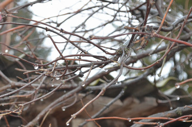 Similar image 22632051