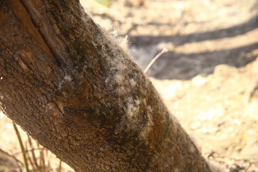 Similar image 22640412