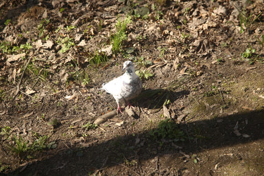 Similar image 22640420