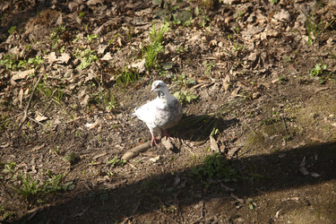 Similar image 22640421