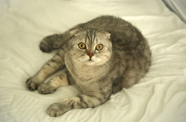 Similar image 22636404