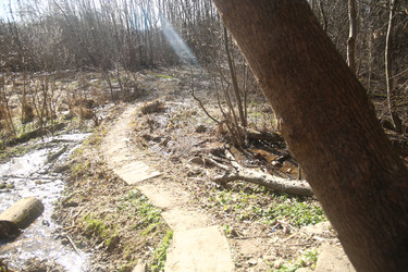 Similar image 22636405