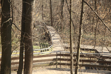 Similar image 22636408