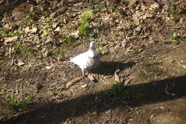 Similar image 22640422