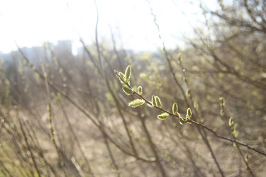 Similar image 22636409